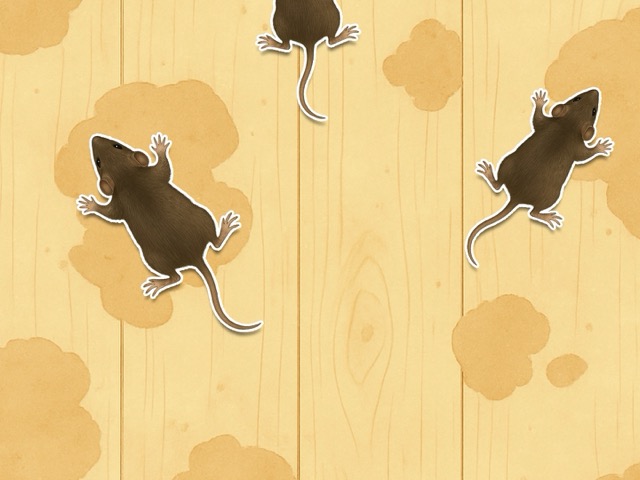 Mouse